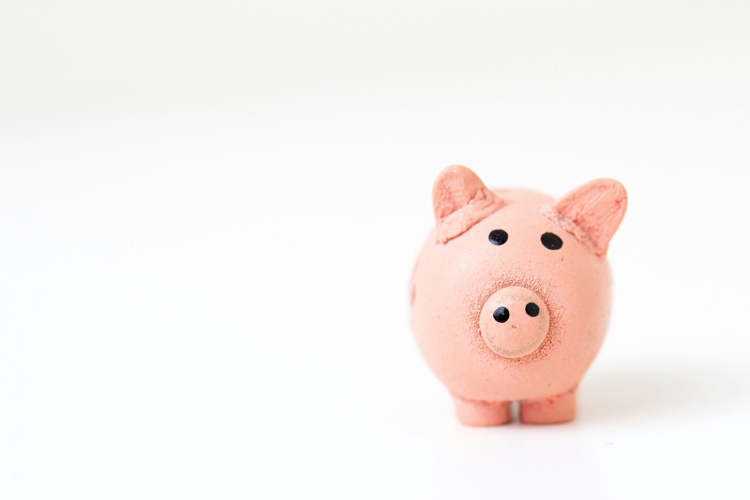 Piggy bank for budgeting