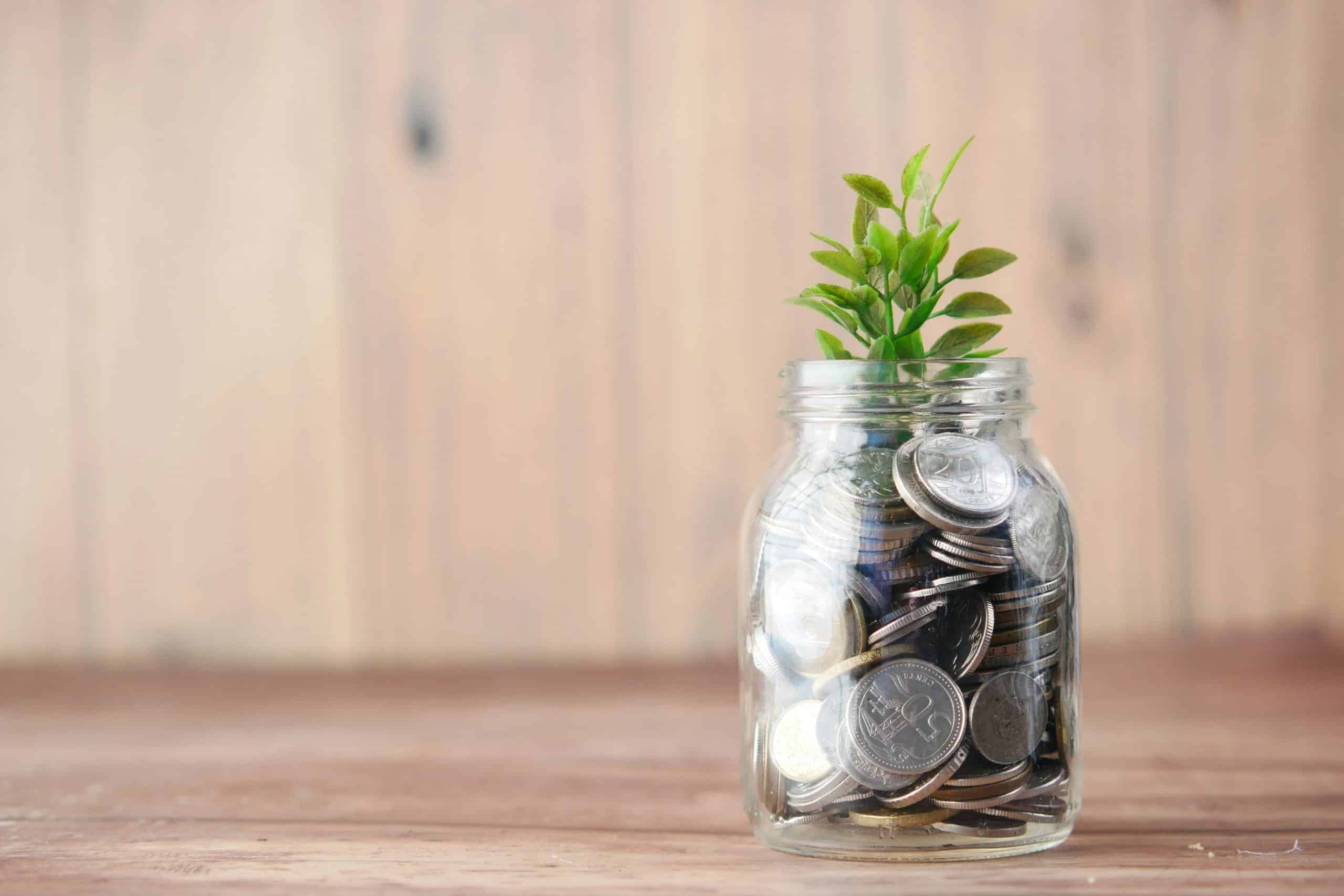 A jar with coins and a plant to represent a retirement annuity top up.