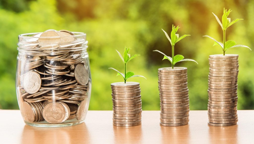 The purpose of any investment is growth