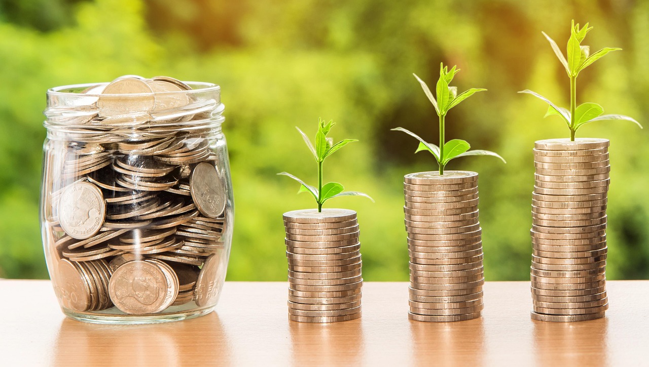 The purpose of any investment is growth